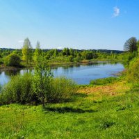 Майский пейзаж с озером :: Милешкин Владимир Алексеевич 