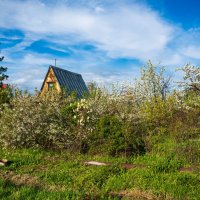 А за окошком месяц май... :: Петр 