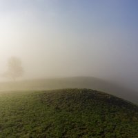 Минимализм тумана :: Максимка 