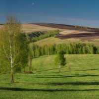 * :: Александр Иванов