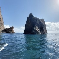 Прогулка по Черному морю :: ИРЭН@ .