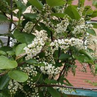 Весеннее :: Елена Семигина