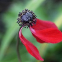 Мгновение :: ZNatasha - Мгновение :: ZNatasha -