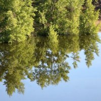 Отражение :: Олегъ Петрович Отражение :: Олегъ Петрович