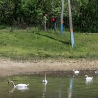 На озере :: Игорь Сикорский