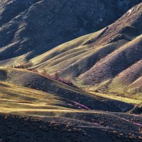 Где - то в горах ... :: Марина Юдинских
