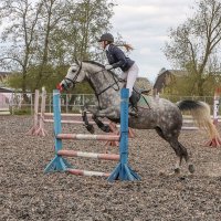 Конкур :: Анатолий Шумилин