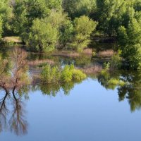 Потопъ :: Олегъ Петрович