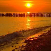 Здравствуй утро :: Юрий. Шмаков