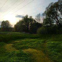 Похоже, погода налаживается :: Андрей Лукьянов