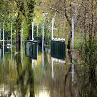 Весений паводок :: Сергей Кочнев