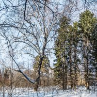 Пейзаж :: SanSan 