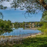 Утопая в зелени. :: Михаил "Skipper" Утопая в зелени. :: Михаил "Skipper"