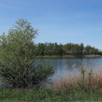 Весенний пейзаж :: Рита Симонова