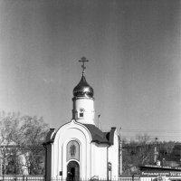 Солнечный день! :: Михаил Соколов