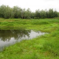 Хмурый день :: Anna Ivanova