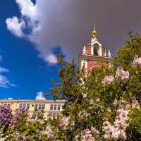 в сиреневом цвету :: Наталья Крюкова