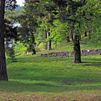 Результат благоустройства прилегающей к озеру территории :: Евгений Корьевщиков