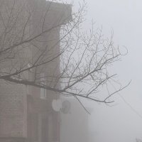 *** :: Яна Горбунова