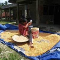 Девушка с кукурузой (3 часть). :: unix (Илья Утропов)