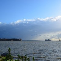 на берегу залива :: Галина R...