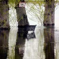 Затопило :: Сергей Кочнев