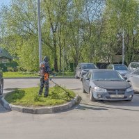 Городская сенокосная пора :: Валерий Иванович