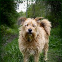 ... :: leff Postnov ... :: leff Postnov