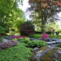 Японский садик... :: Галина 