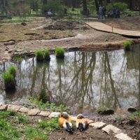 Отражение :: Дмитрий Никитин Отражение :: Дмитрий Никитин