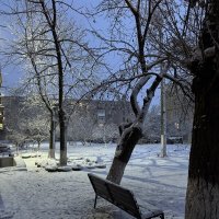 *** :: Яна Горбунова