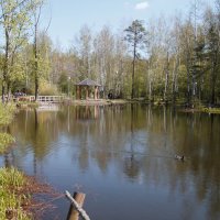 В парке "Золотые пески" :: Евгений Шафер