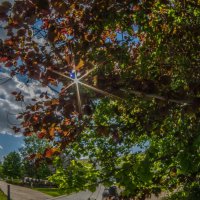 Май :: Наталья Rosenwasser Май :: Наталья Rosenwasser