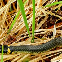 из снятого позавчера 3 :: Александр Прокудин из снятого позавчера 3 :: Александр Прокудин