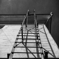 Excelsior :: Андрей Жданов Excelsior :: Андрей Жданов