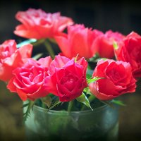 цветы для любимых :: Олег Лукьянов