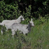 На малой родине! :: Валентина  Нефёдова 