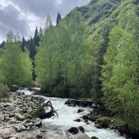 Говорливая горная речка :: Георгиевич Говорливая горная речка :: Георгиевич