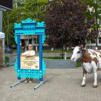 Выгляни в окошко! :: Михаил "Skipper" Выгляни в окошко! :: Михаил "Skipper"