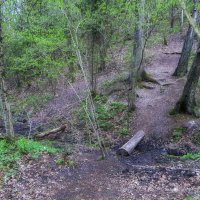 А утром снова в путь :: Сергей Цветков