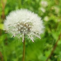 ,,, :: Сергей Тимоновский ,,, :: Сергей Тимоновский