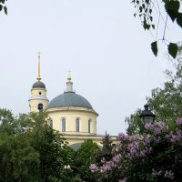 *** :: Люба 