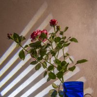*** :: Николай Галкин 