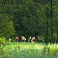 Зелёный шум... :: Владимир Шошин Зелёный шум... :: Владимир Шошин