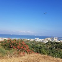 Мне сверху видно  и ты знаешь.... :: Светлана Хращевская