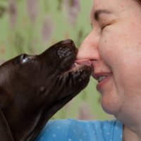 собачий детский сад :: Павел Кошалеф