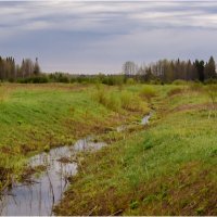 Весенняя протока :: Валентин Котляров