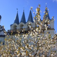 Колокольня Успенского мужского монастыря :: Сергей Кочнев