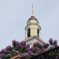 Ах,Москва,ты мой город сиренью пропахший... :: Люба 