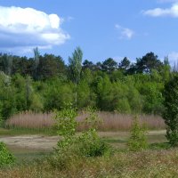 Пейзажи  Крыма :: Валентин Семчишин